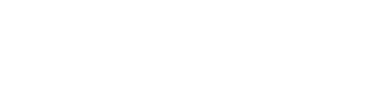 cidelsa-logo-english